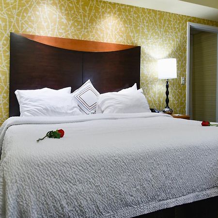 Fairfield Inn Hartford Airport Windsor Locks Εξωτερικό φωτογραφία